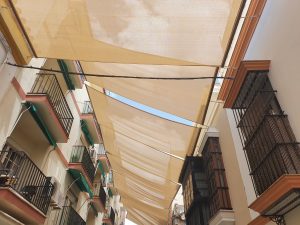 PAREDES Toldo con palilleria Utrera 2019 2 1